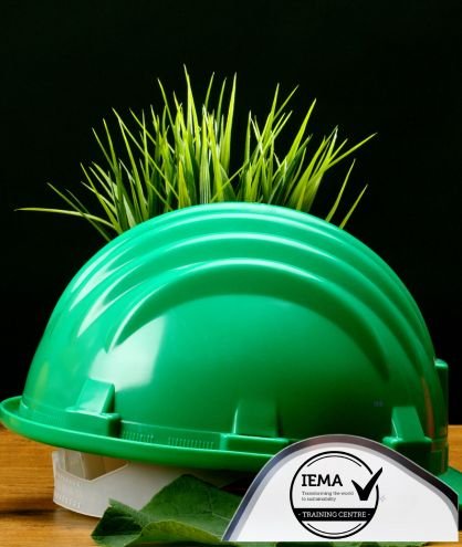 iema environmental sustainability skills for managers